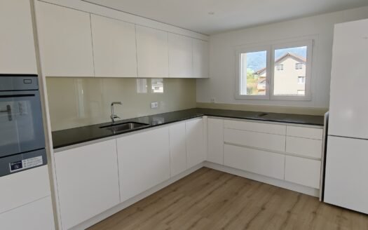 3.5-Zimmer Wohnung mit atemberaubender Bergsicht in Haag
